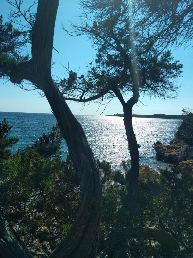 Chez Xavier Διαμέρισμα Monacia-d'Aullene Εξωτερικό φωτογραφία