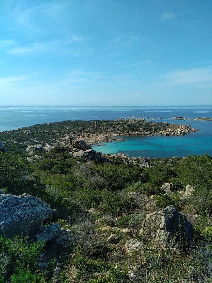 Chez Xavier Διαμέρισμα Monacia-d'Aullene Εξωτερικό φωτογραφία