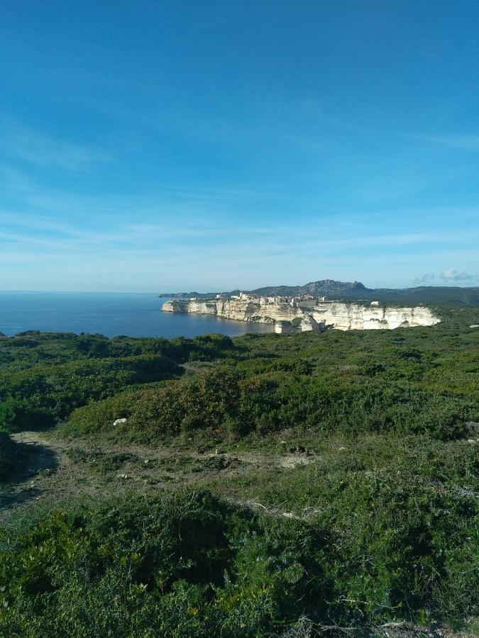 Chez Xavier Διαμέρισμα Monacia-d'Aullene Εξωτερικό φωτογραφία