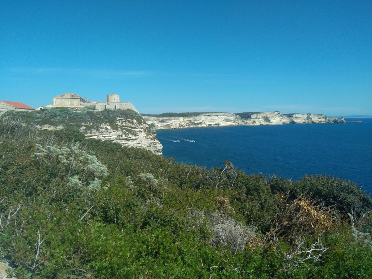 Chez Xavier Διαμέρισμα Monacia-d'Aullene Εξωτερικό φωτογραφία